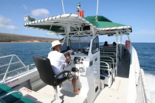 Private-Charter-Humpback-Whale-Watching-Dolphin-Search-image-6-1-600x400