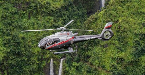 hana-rainforest-experience-tour-lg2