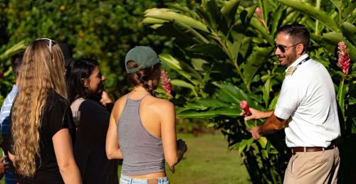 hana-rainforest-experience-tour-lg5