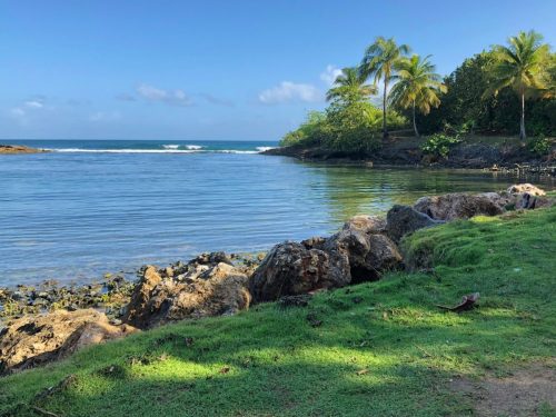 maui tours