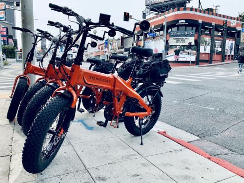 IMG 1652